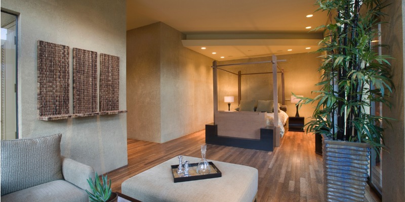 最高的房子植物净化室内空气