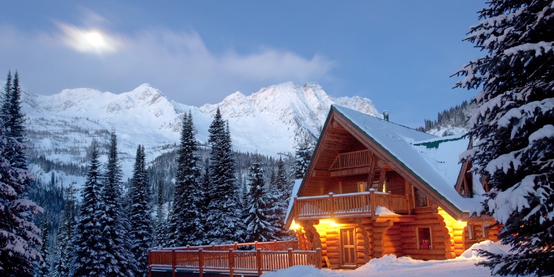 房子在冬天被森林包围