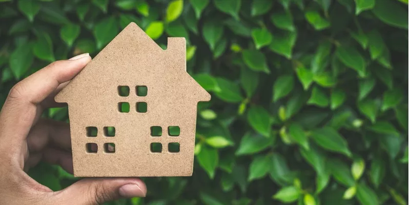 人拿着木头房子在叶背景下